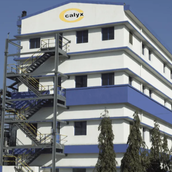 Calyx Chemicals & Pharmaceuticals Limited