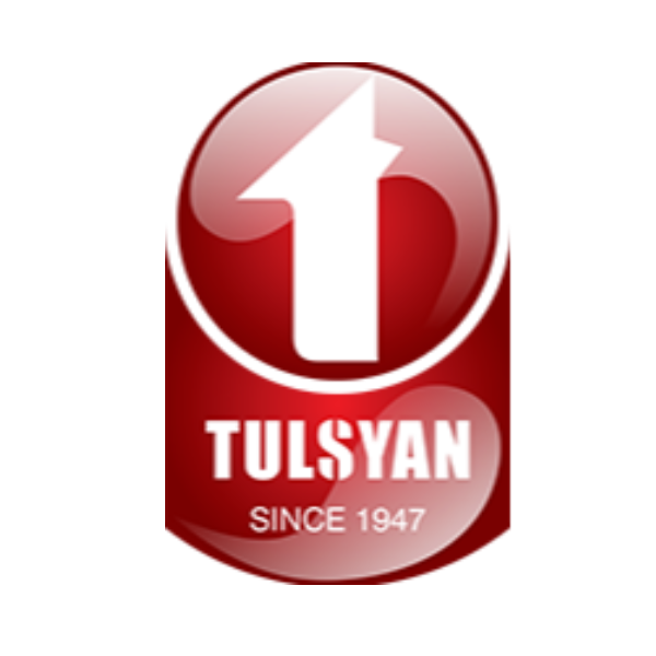 Tulsyan NEC Limited